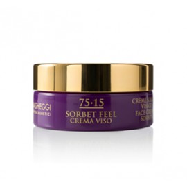 Vagheggi 7515 Line Sorbet Face Cream 50ml